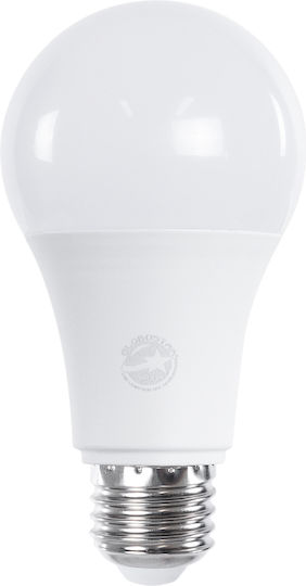 GloboStar LED-Lampe 10W 110mm für Fassung E27 und Form A60 Kühles Weiß 990lm Dimmbar