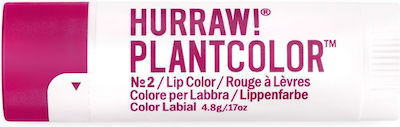 Hurraw! Hurraw! Plantcolor Lip Balm Nº 2 4.8gr