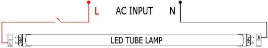 Fluorescent Lamp for G13 Base with T8 Shape 14W