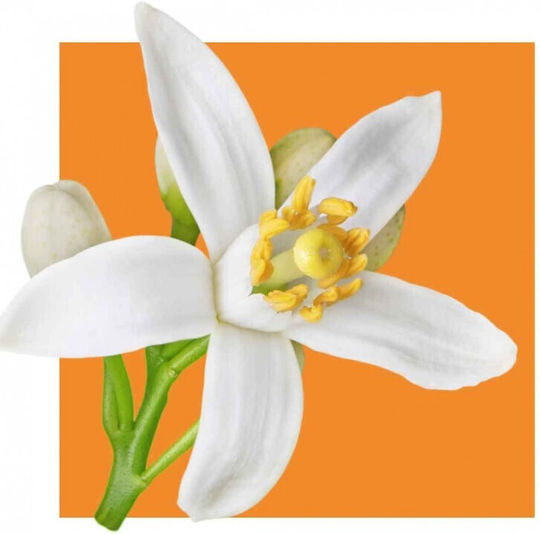 Acorelle Organic Perfume Optimism 50ml