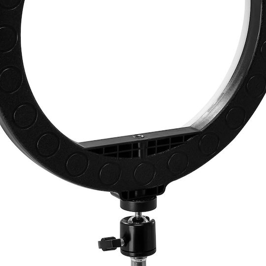 Activeshop Lamp Light RGB Ringlicht 25,4cm