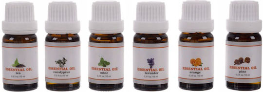 Aromatic Oil Αρωματικό Έλαιο 10ml 6buc ZY12193QWS39