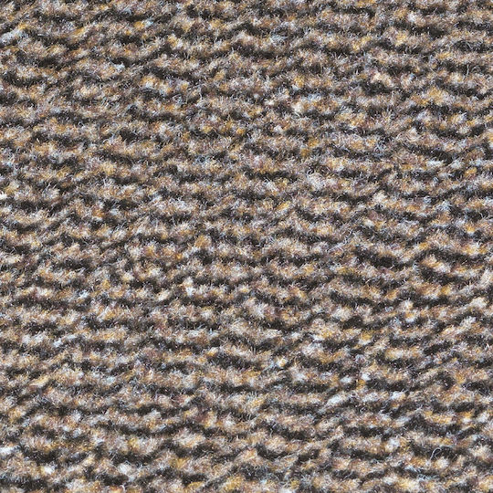 Covor de Intrare Bej 150x90buc Grosime 30mm