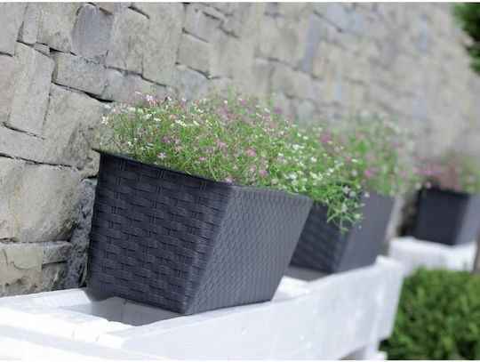 Prosperplast Topf Kunststoff Anthracite 68.5x17.3x15cm.