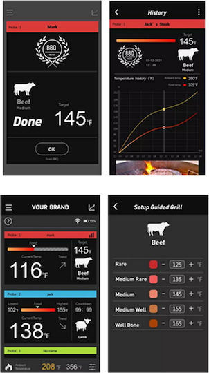 Thermogatz At02 Wireless Electronical BBQ Thermometer with Probe and Bluetooth