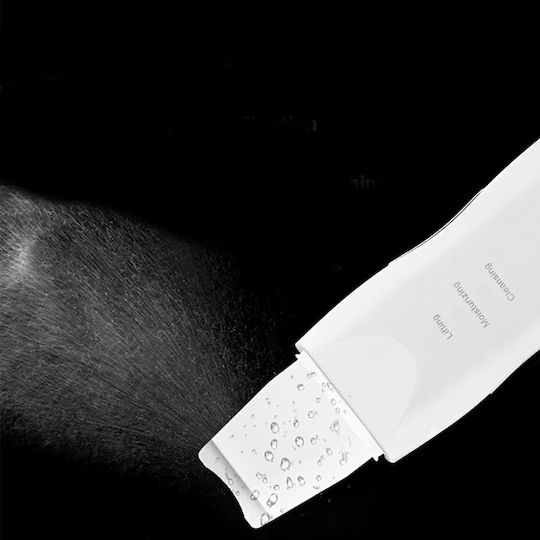 Skin Scrubber Προσώπου ZE1AG23QWS07F
