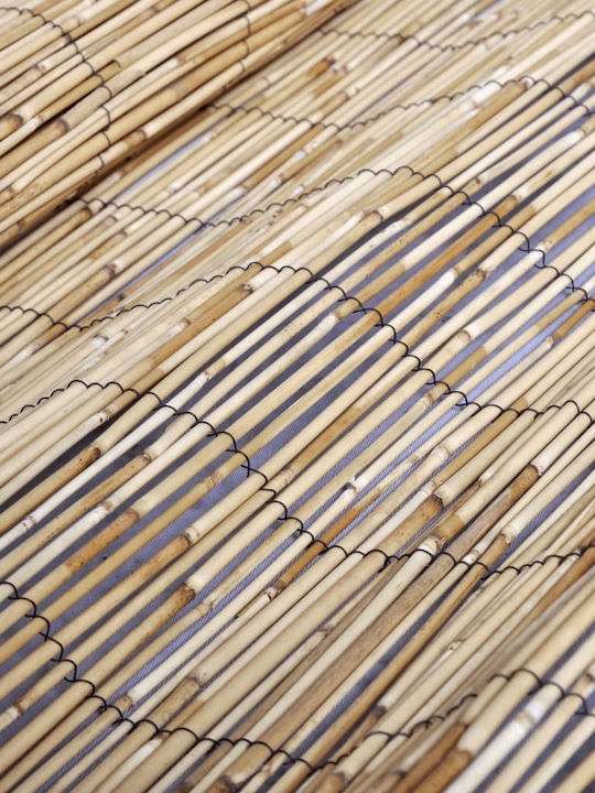 vidaXL Bamboo Fencing with Whole Reed Bamboo 80x600cm