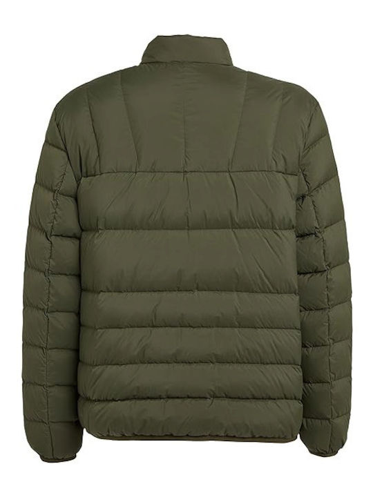 Jacket Olive