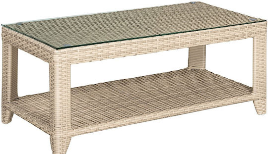 Camera de zi Coffee Table 100x50x42buc Gri