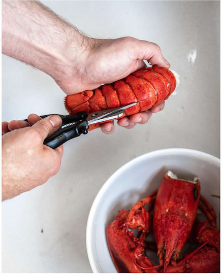De Buyer Stainless Steel Seafood Scissor 20.7cm Black