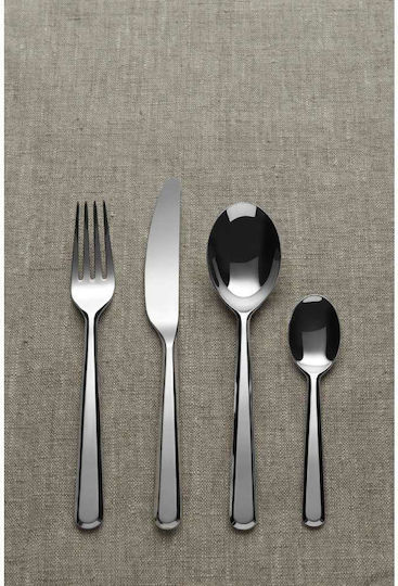 Alessi Amici Set de Tacâmuri Inoxidabil Argintiu 24buc