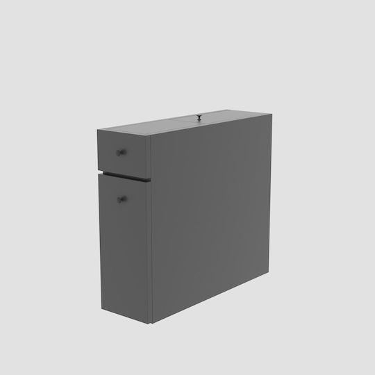24Mall Bathroom Cabinet L19xW60xH55cm Gray
