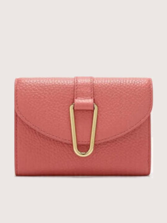 Coccinelle