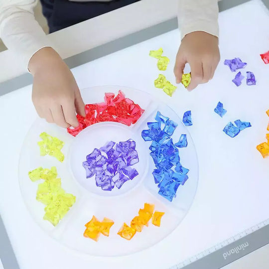 Miniland Lernspiel Wissen