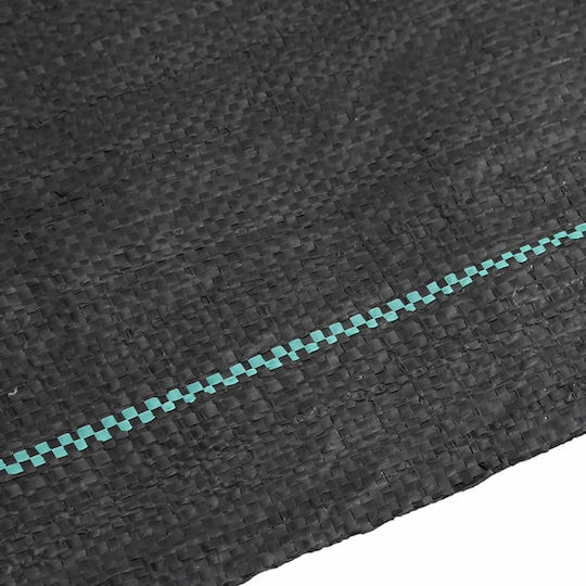 vidaXL 4005141 Ground Cover Fabric 0.5x150m Black