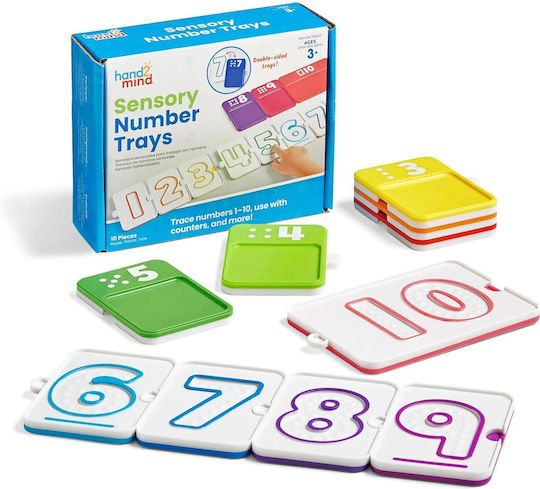 Hand2Mind Sensory Lernspiel Wissen für 3+ Jahre alt Jahre