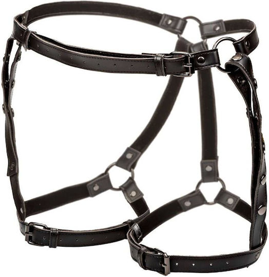 Calexotics Thigh Ιμάντες Ακινητοποίησης σε Μαύρο Χρώμα