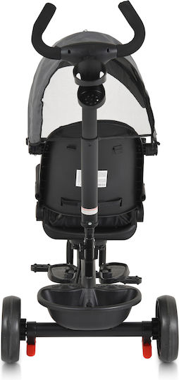 Byox Summer Convertible with Parental Handle for 12 Months Gray