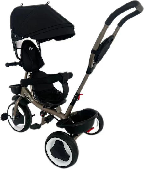 Joy Convertible with Parental Handle for 1.5+ Years Black