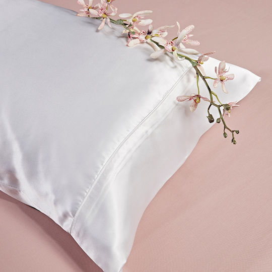 Kentia Silk