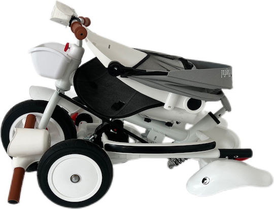 Playful Foldable & Convertible for 1.5+ Years Gray