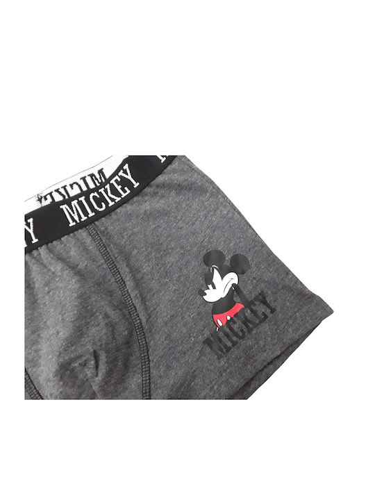 E PLUS M Mickey Kids' Boxer Gray