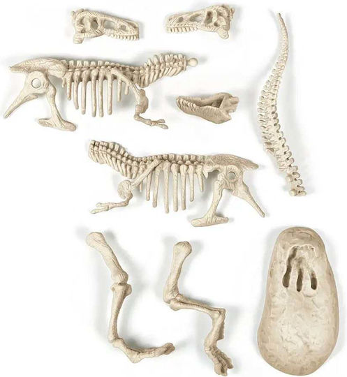 AS Δημιουργώ Lab STEM Lernspiel Dinosaurier-Ausgrabung Wissenschaft und Spiel für 6+ Jahre Jahre