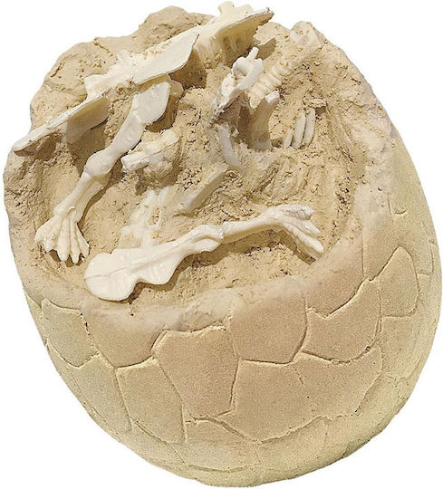 Luna Dino Exlporer Educational Game Dinosaur Excavation for 8+ years old Years Old