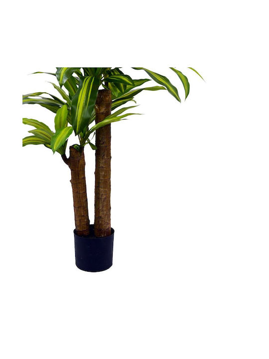 Δράκαινα σε Γλάστρα 110cm Inart