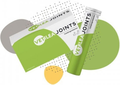 Vetilea Joints Condroprotector Витамин за Стави 28 Таблетки