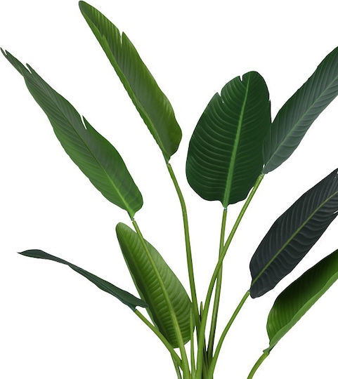 Palm Tree Φοίνικας Εξωτερικού Χώρου 120cm Inart