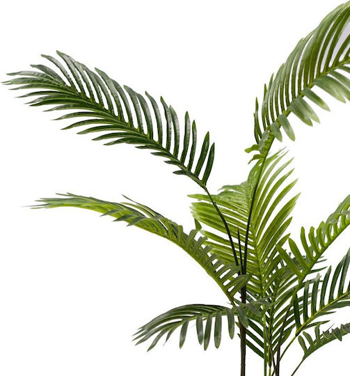 Areca Αρέκα σε Γλάστρα 80cm Inart