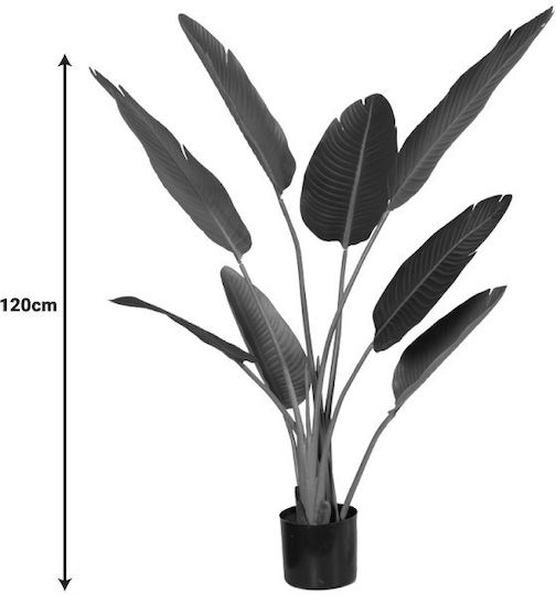 Palm Tree Φοίνικας Εξωτερικού Χώρου 120cm Inart