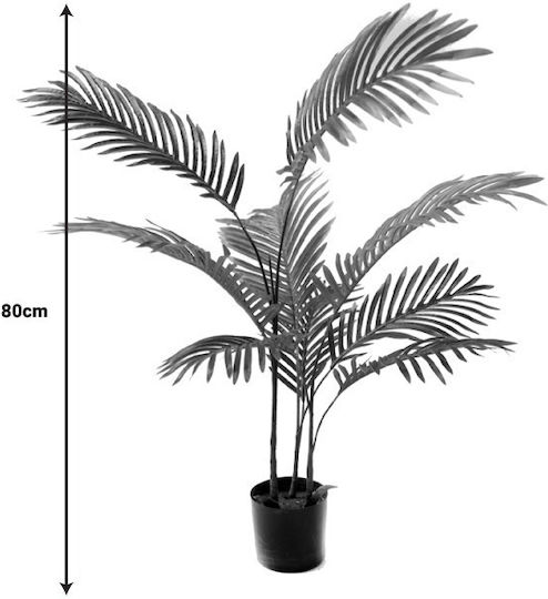 Areca Αρέκα σε Γλάστρα 80cm Inart