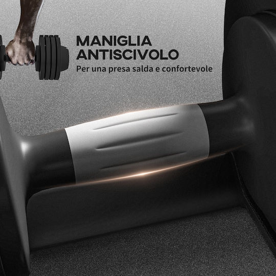 Sportnow Αλτήρες Σετ 2x 10kg με Βάση