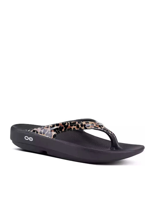 Oolala Women's Flip Flops Black Leopard