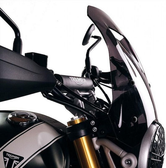 Unit Garage Vizieră colorată motocicletă Triumph Scrambler 400x și Speed 400 4205_F