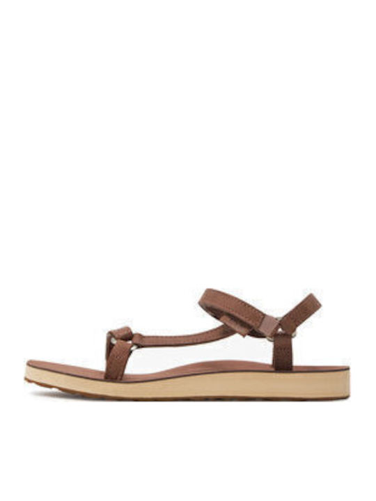 Teva