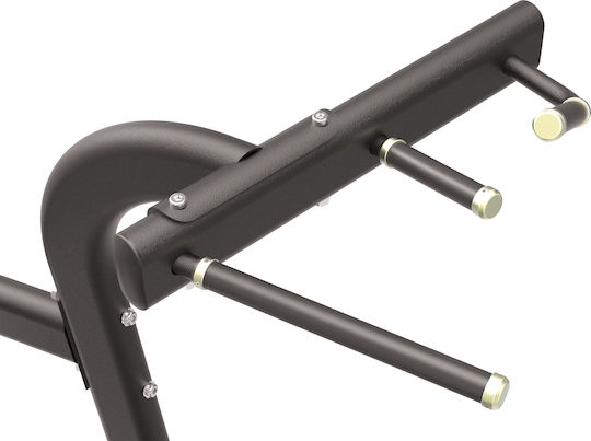 Impulse Chin Dip Combo FE9720 Stromtürme ohne Gewichte Schwarz