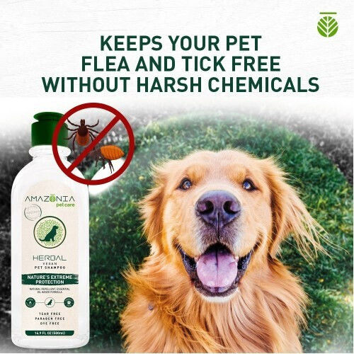 Amazonia Pet Care Σαμπουάν Σκύλου 500ml