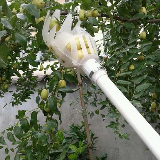 Χτένα Συγκομιδής