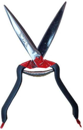 Sheep Shearing Scissors with Non-Slip Handle by Pourikas