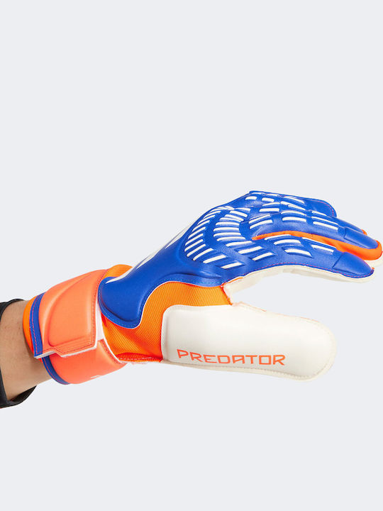 adidas Predator Match Голмански ръкавици за Възрастни Син