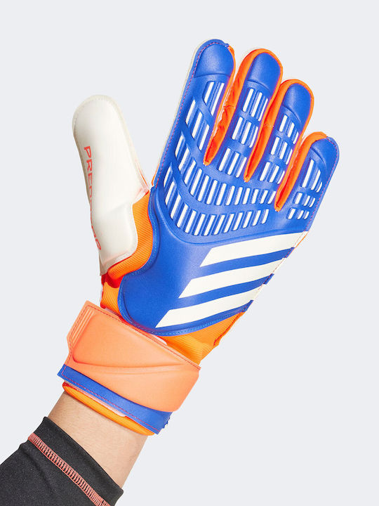 adidas Predator Match Голмански ръкавици за Възрастни Син