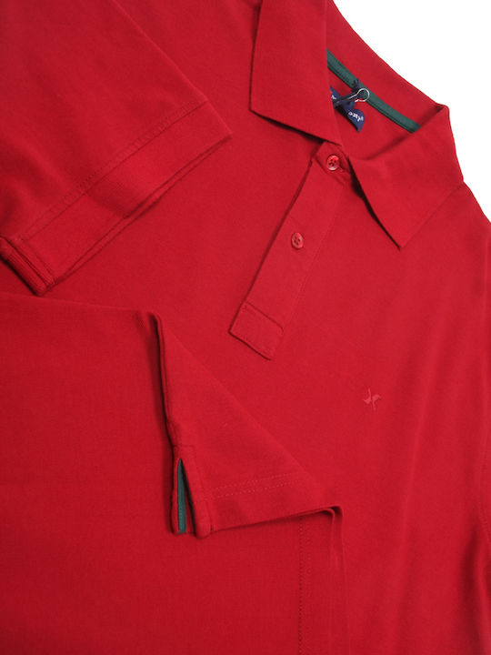 Short Sleeve Blouse Burgundy