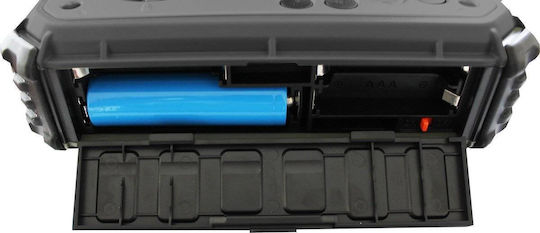 PowerPlus Bison Φορητό Ραδιόφωνο Ηλιακό DAB+ με Bluetooth και USB Ασημί