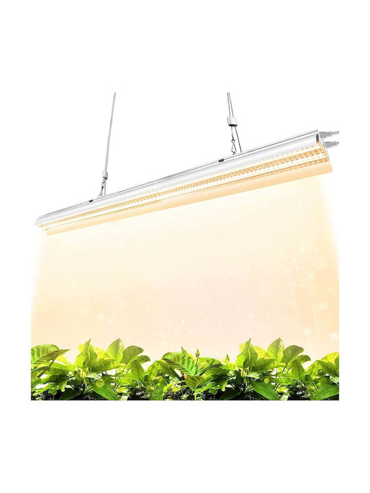 Lămpi Decorative Pentru Masă LED Alb Cald