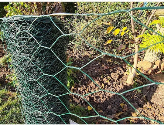 Strend Pro Plasă de sârmă Verde