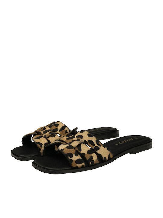 Carad Shoes Carad Shoes