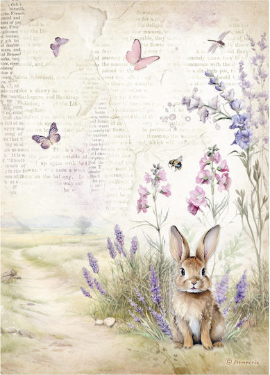 Stamperia Hârtie de orez Decoupage Multicolour